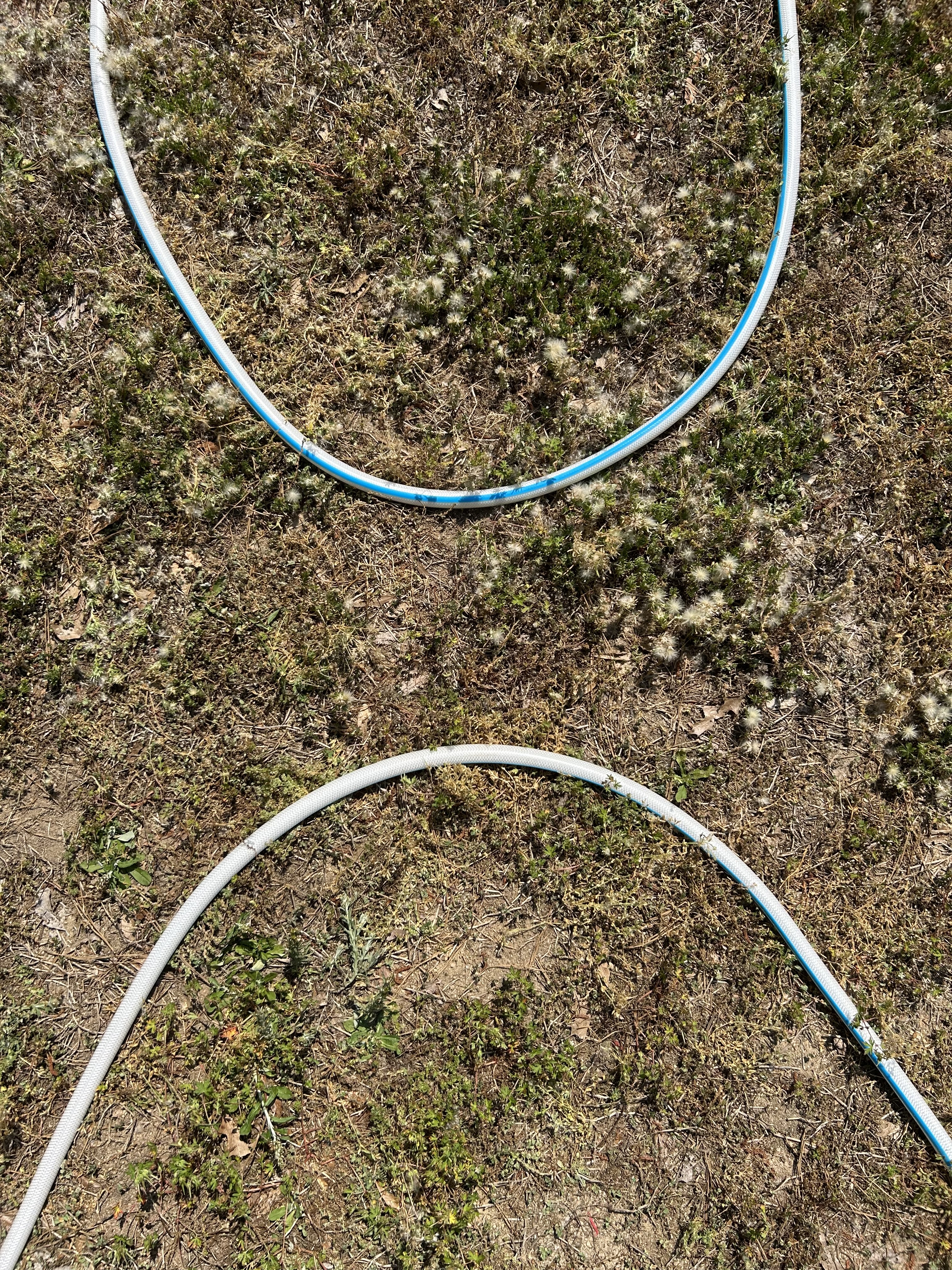 Hose